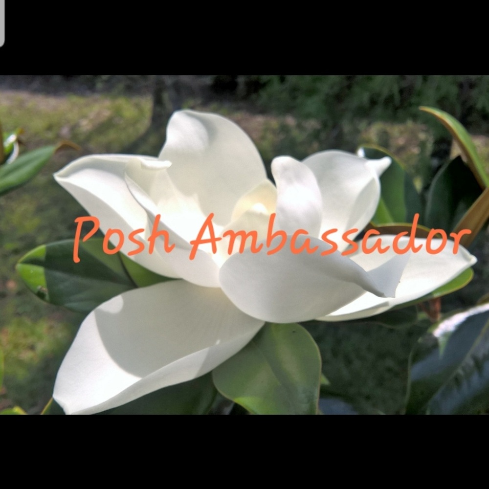 Meet your Posher, Soni Posh Ambassador
